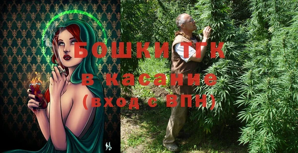 индика Бугульма