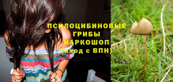 Альфа ПВП Бронницы