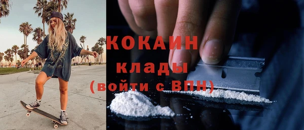 индика Бугульма