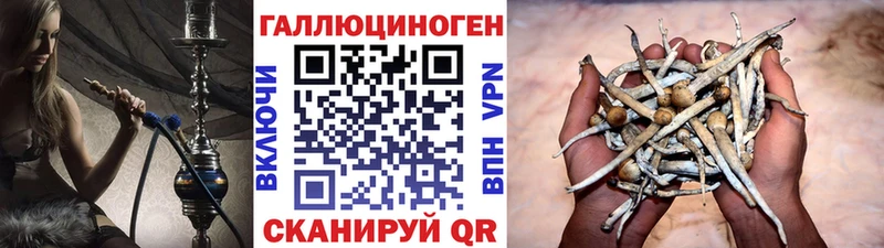 Галлюциногенные грибы мухоморы OMG Мезень