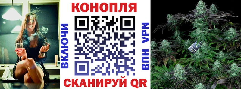 Каннабис индика  Мезень 